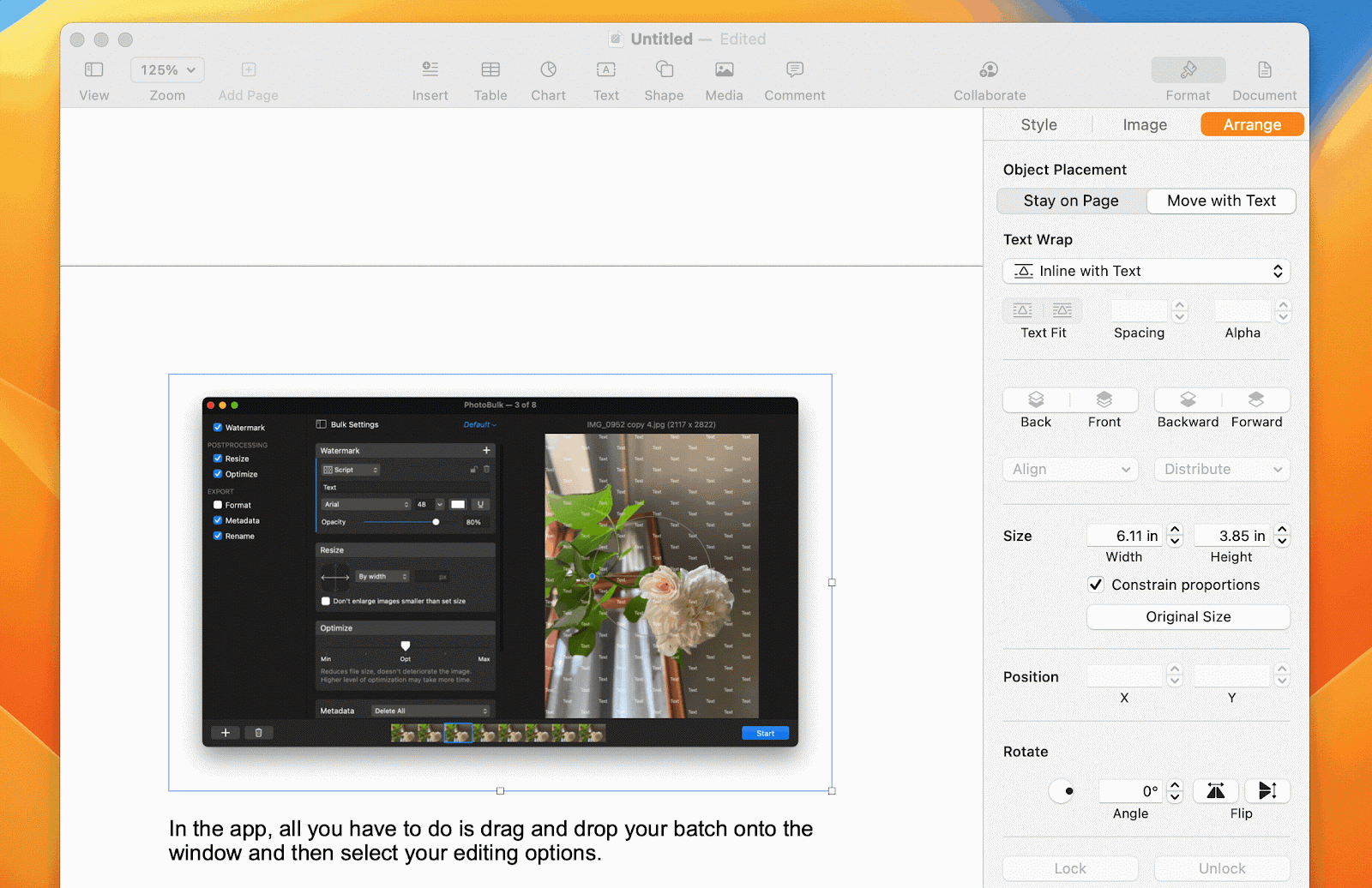change size image on mac using pages