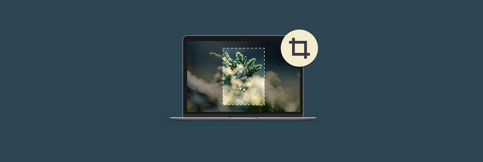 photoshop app to crop for mac