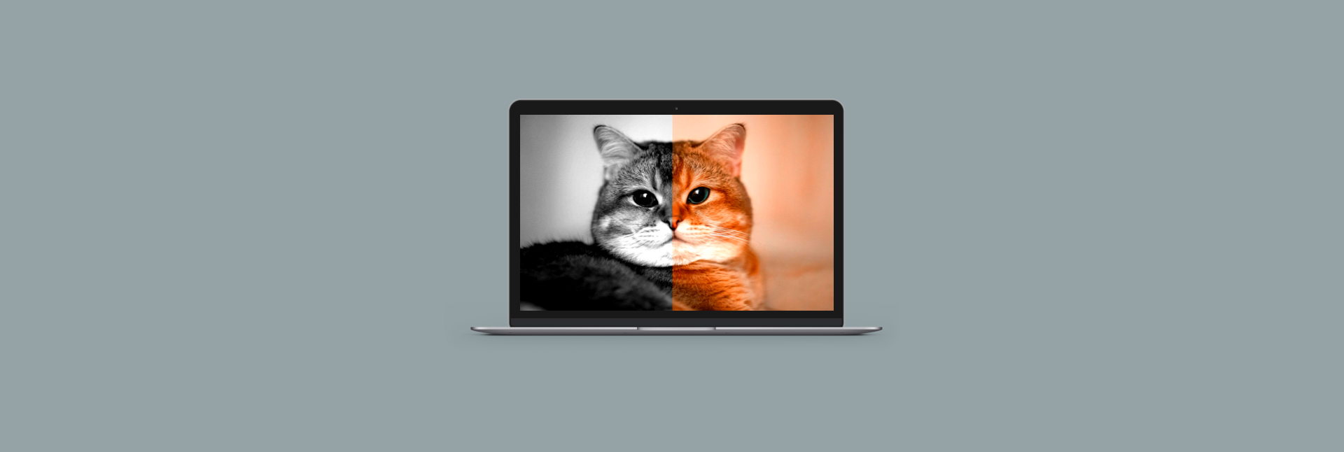 Wedper Blog