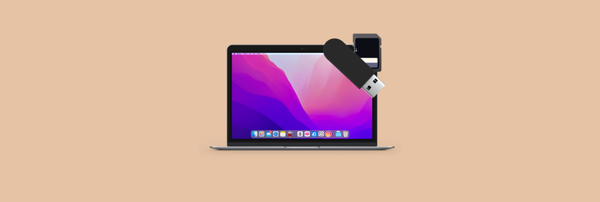 Peer Diplomati generøsitet How To Format USB And SD Card On Mac In Seconds – Setapp