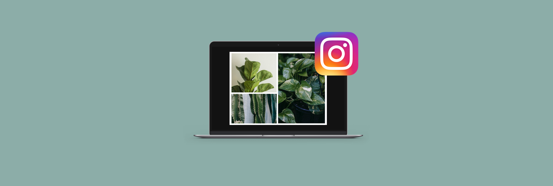 How to post multiple photos on Instagram