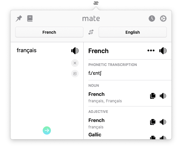 mate translate extension