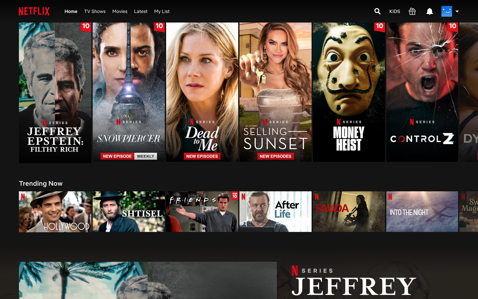 Netflix download movies gogopole