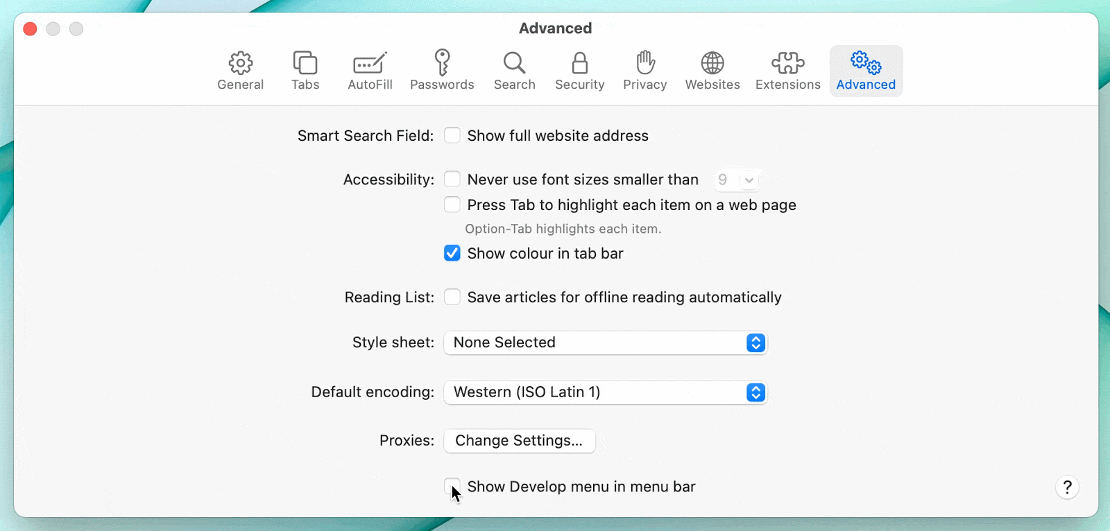 Safari develop menu tools