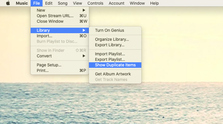 عرض العناصر المكررة iTunes Music Mac